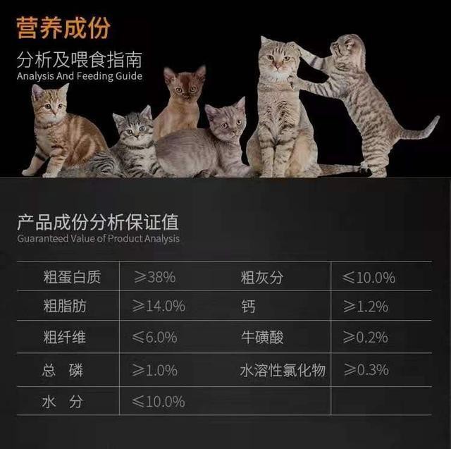 天然猫粮怎么选