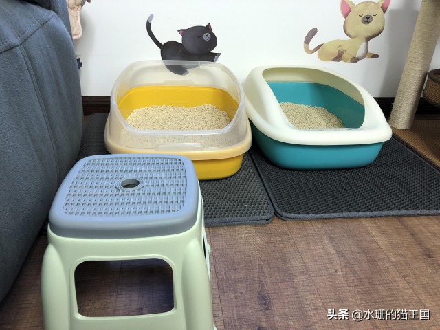 铲屎官们心心念念的猫便便怎么还不来猫咪便秘知识大全