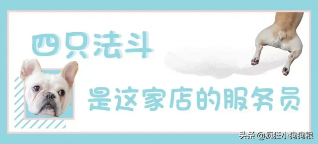 这年头4只法斗系个领带就敢闯荡解放碑