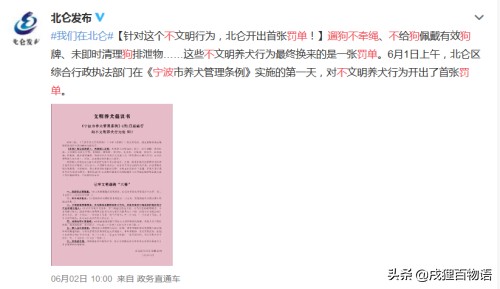 快看！遛狗不牵绳不捡屎，小心罚单就来了