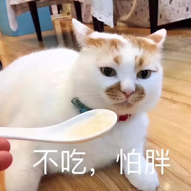 建议：这五种食物，不要经常喂猫，否则猫会生病