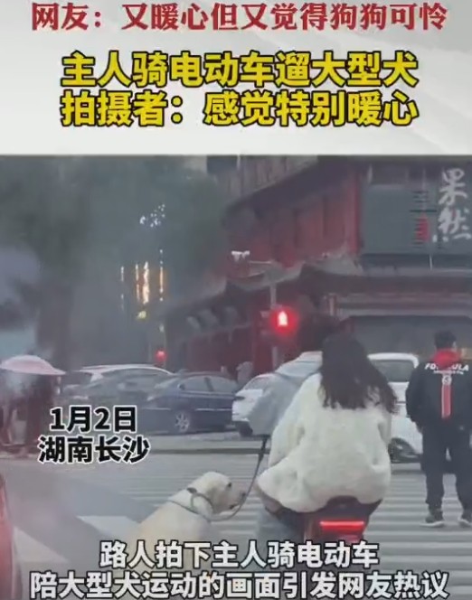 男子骑车载女生还遛大型犬，网友：“当心人仰车翻”