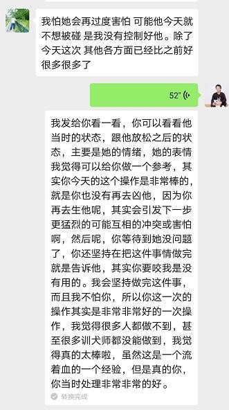 柴犬过于敏感主人帮柴犬狗狗擦身怎料它扭头就把主人咬到流血